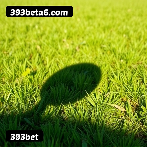 Grandes vencedores 393bet de São Paulo, Rio de Janeiro, Belo Horizonte - Saques PIX confirmados